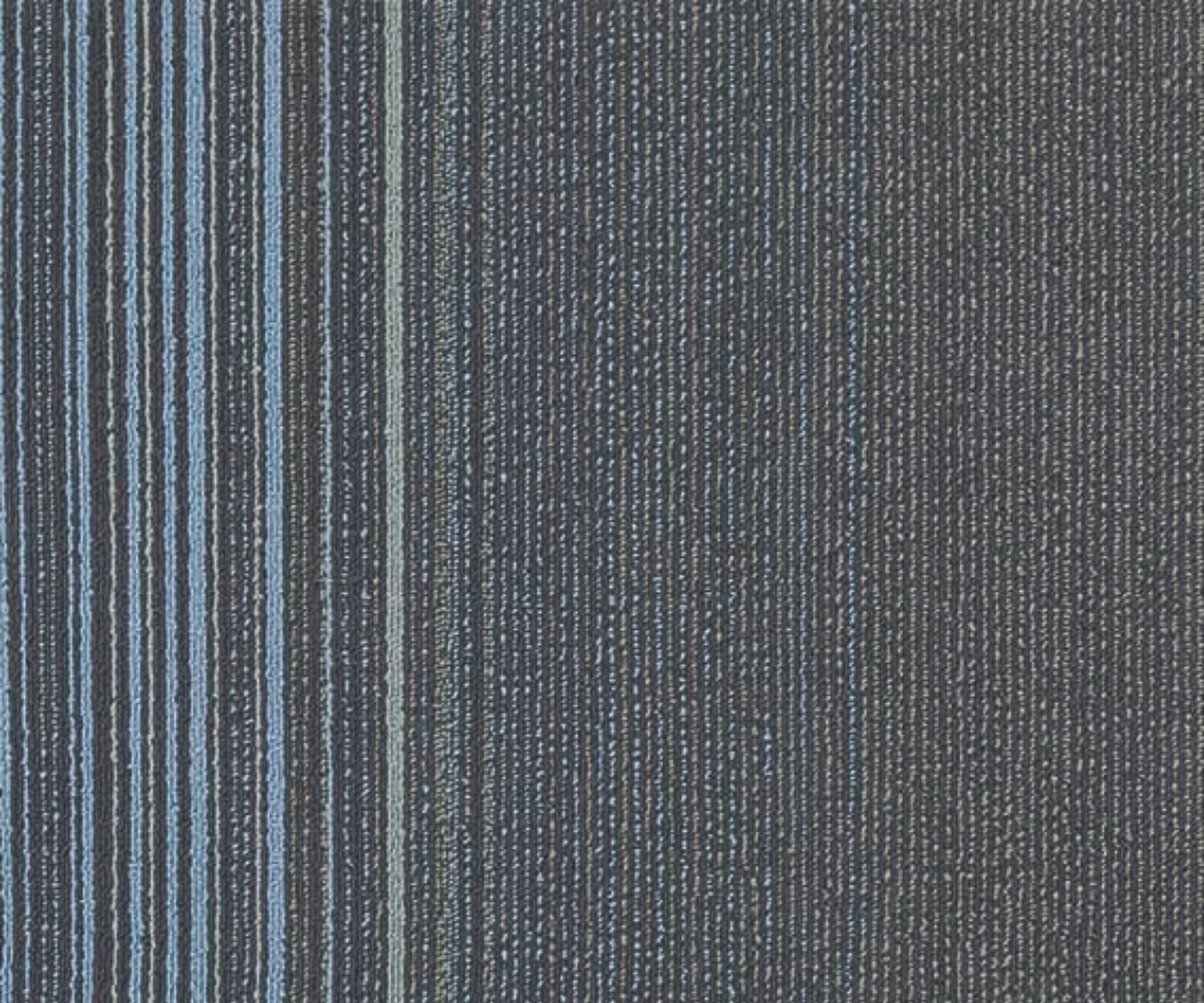 Coastline - Image 6