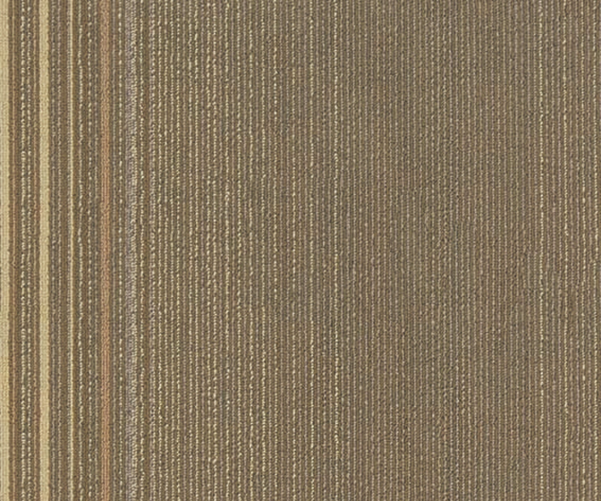 Coastline - Image 5