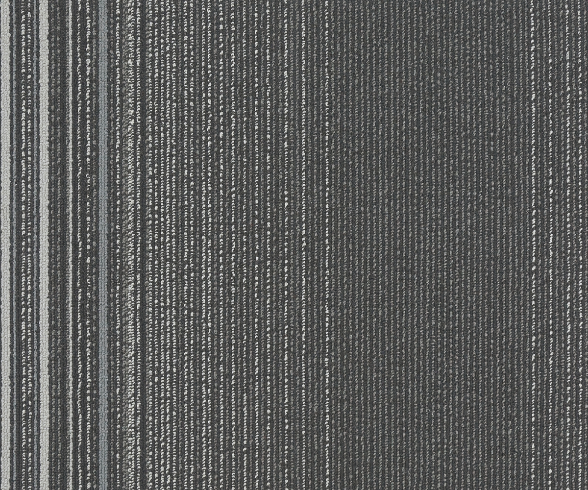 Coastline - Image 4