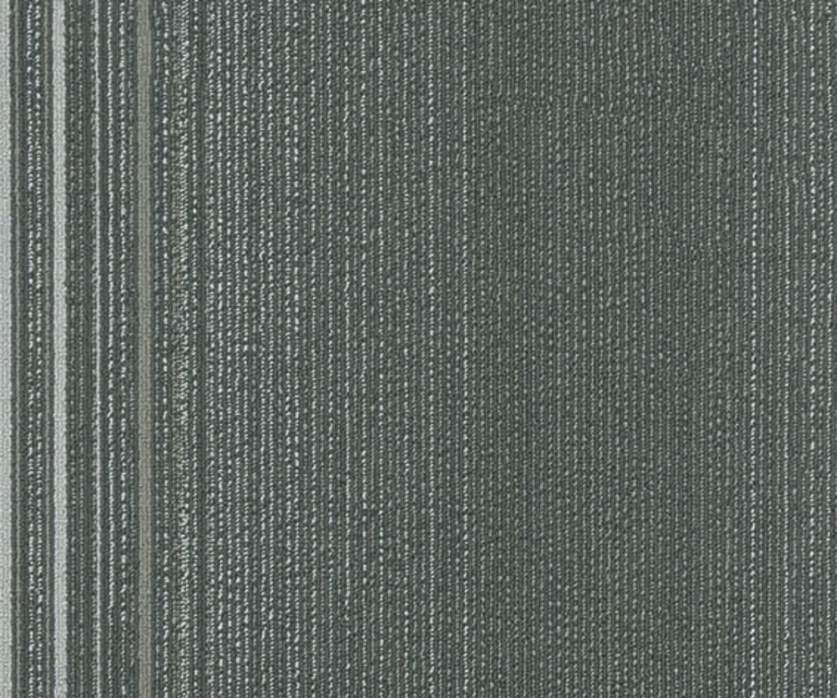 Coastline - Image 2