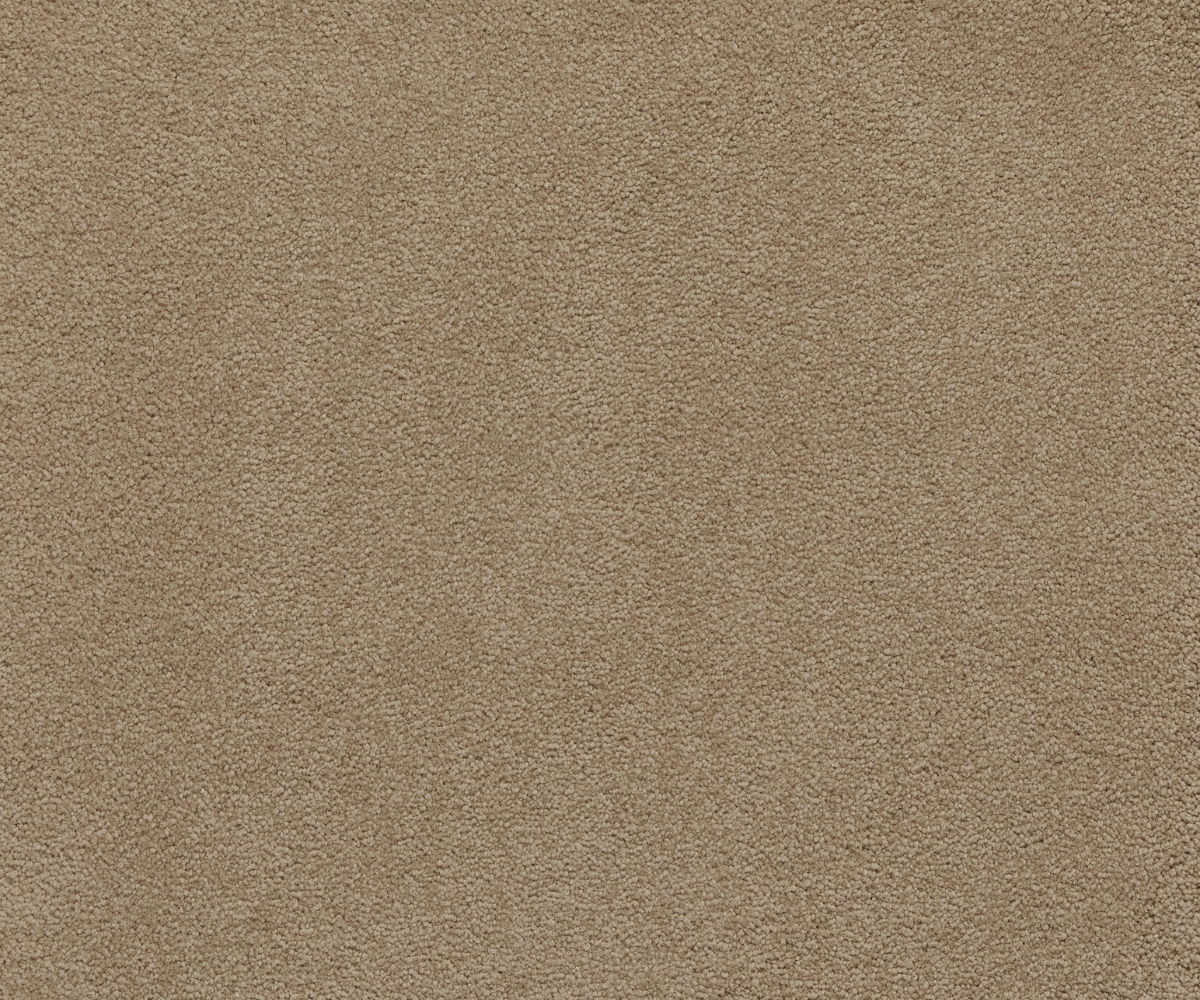 Sensology Lush - Image 7