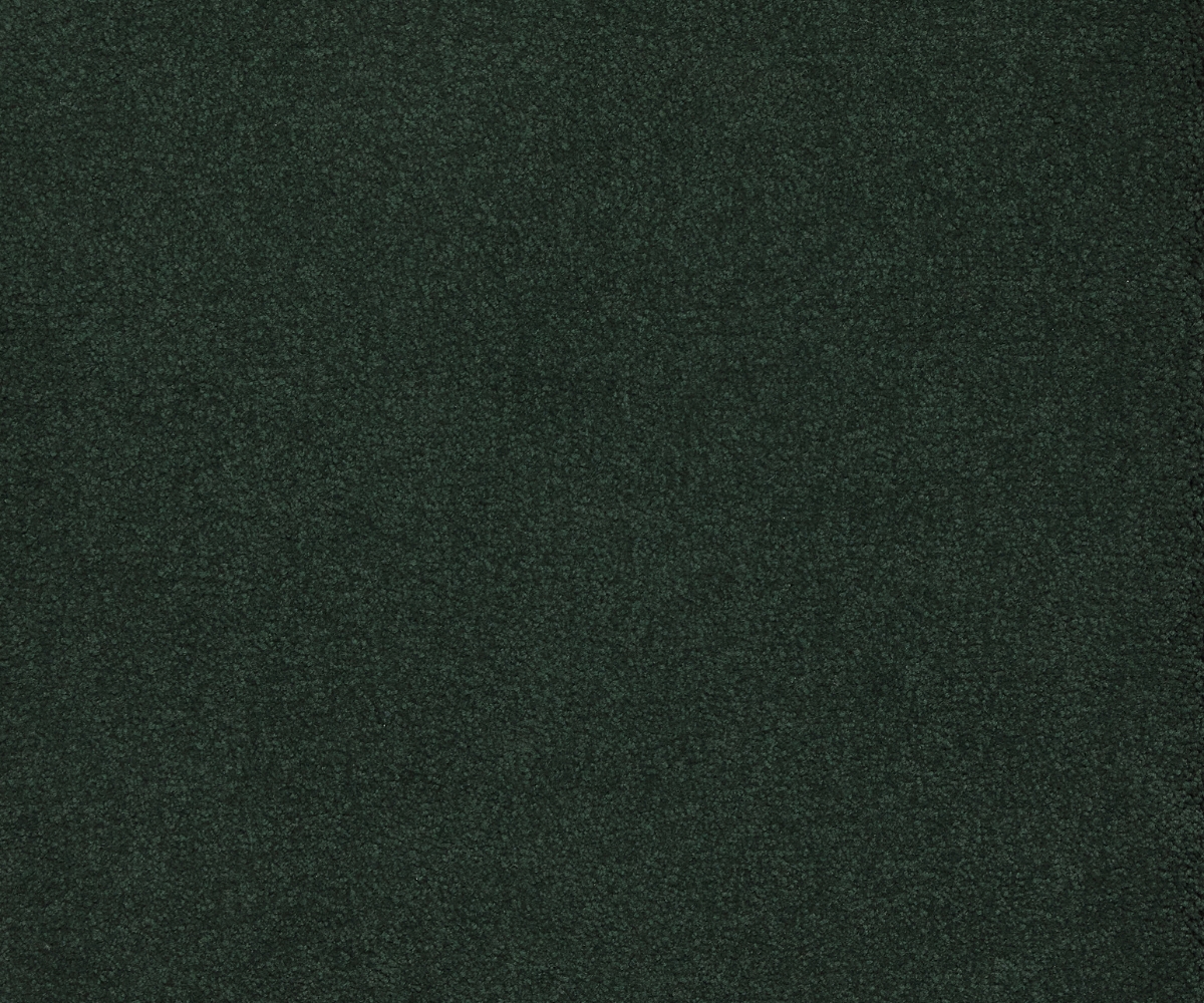 Sensology Lush - Image 6