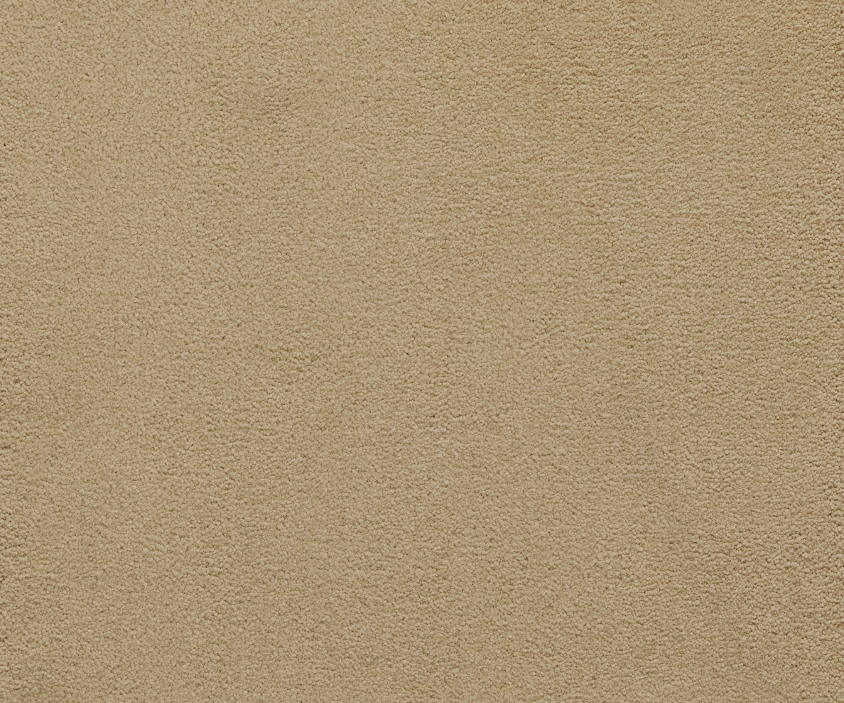 Sensology Lush - Image 5