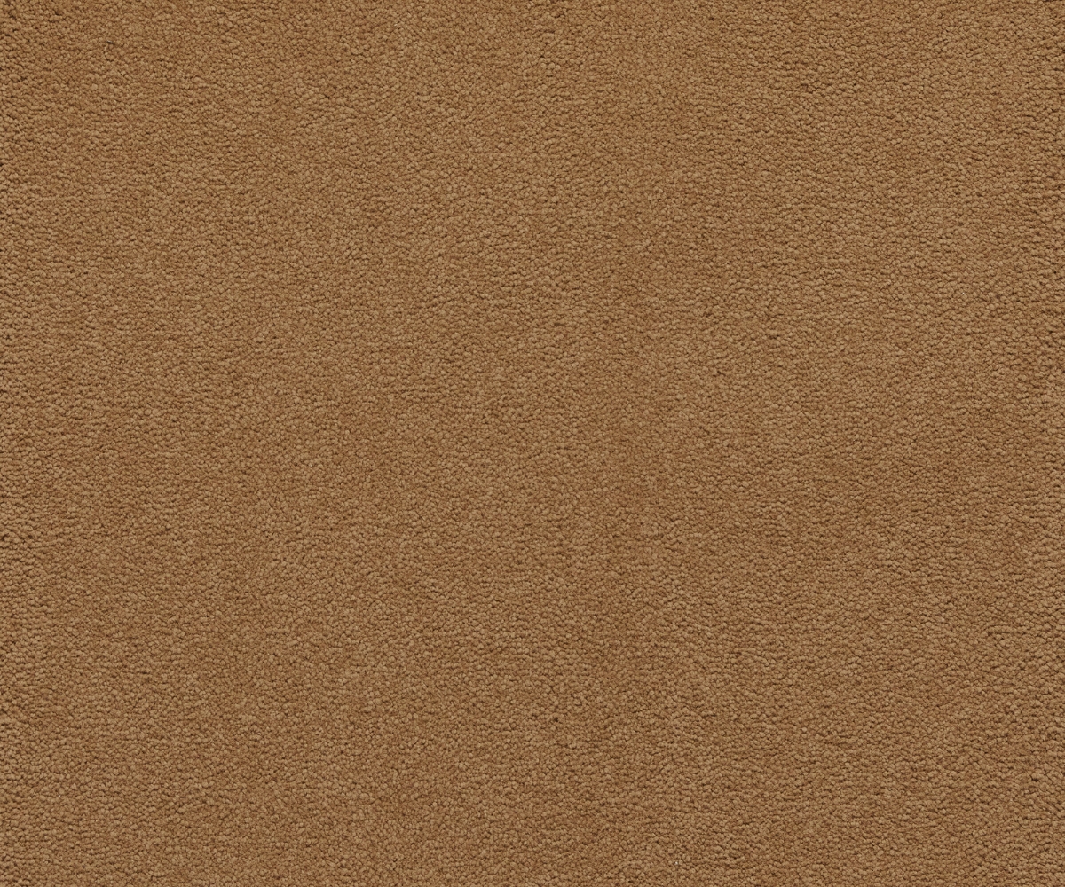 Sensology Lush - Image 4
