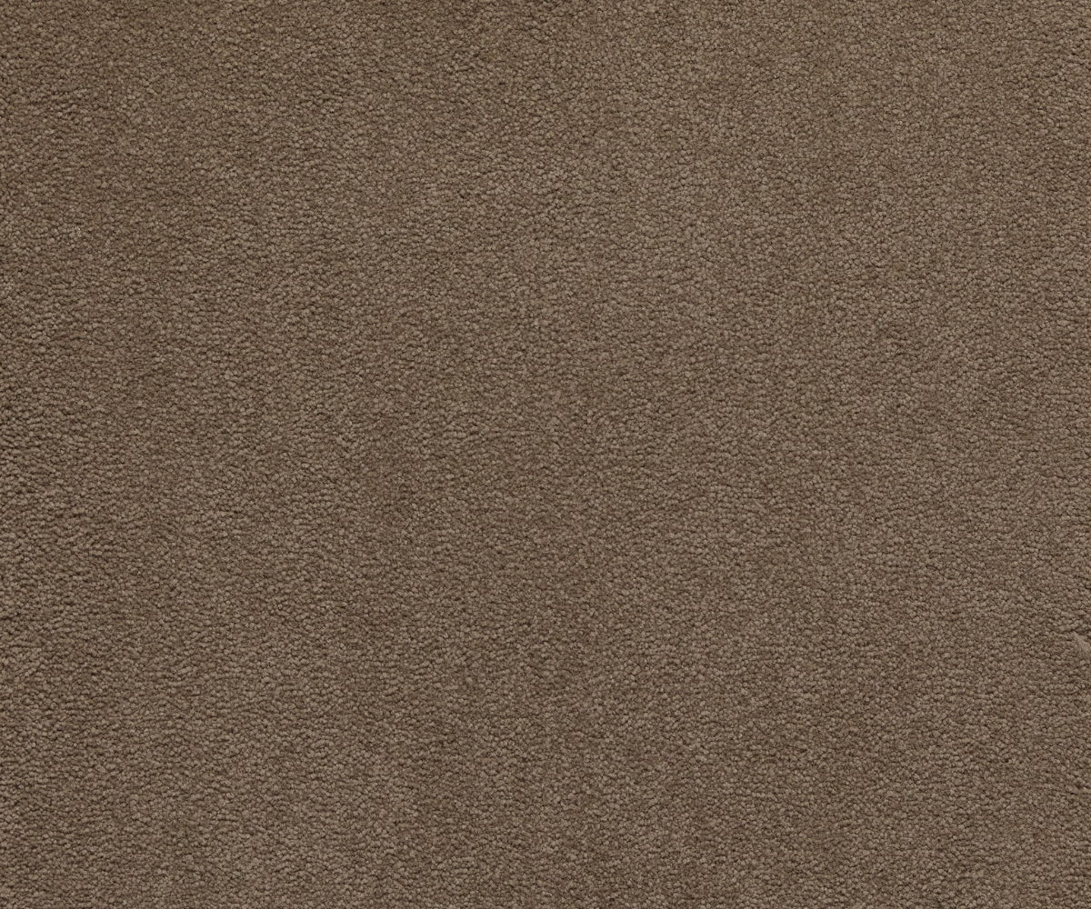 Sensology Lush - Image 3