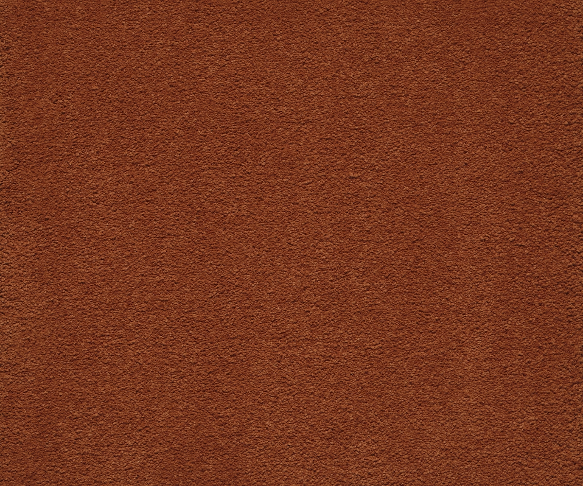 Sensology Lush - Image 2