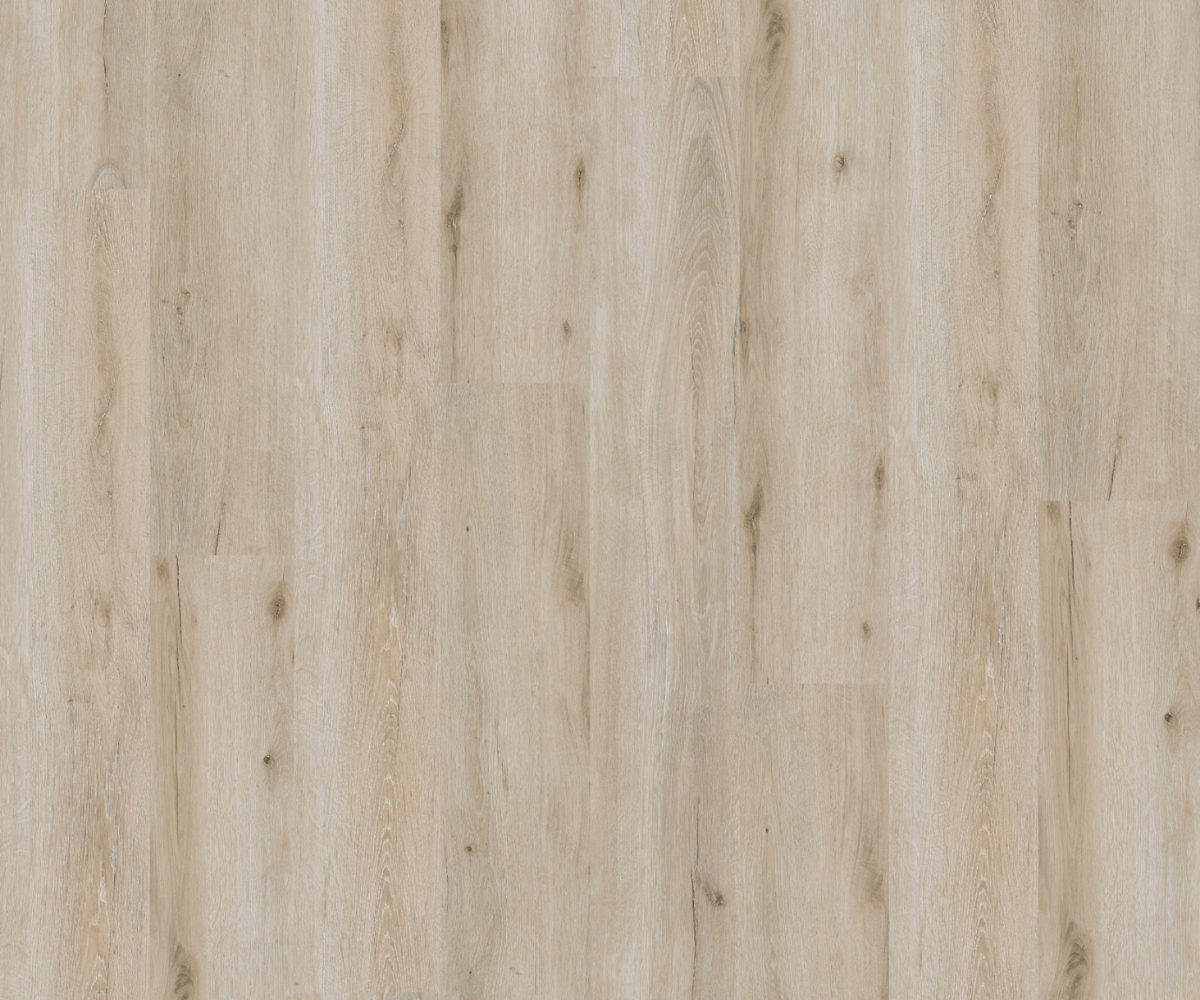 Urban Collection - Image 8