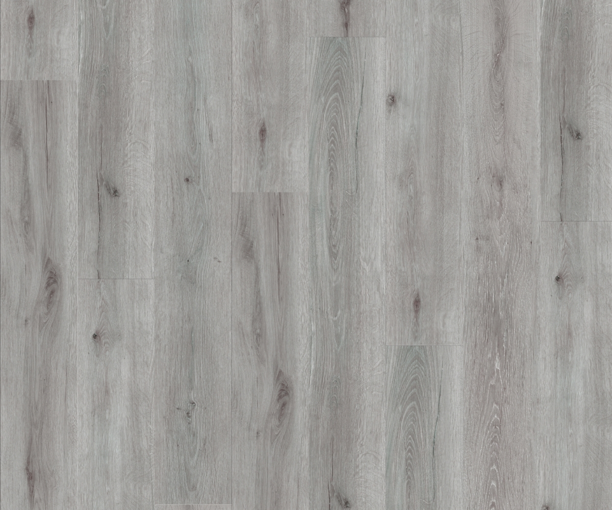 Urban Collection - Image 7